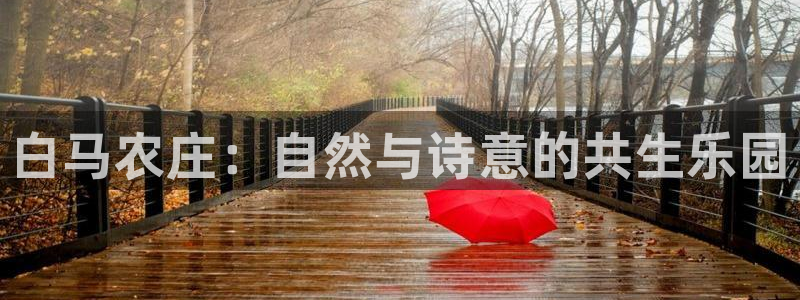 天辰辰娱乐代理