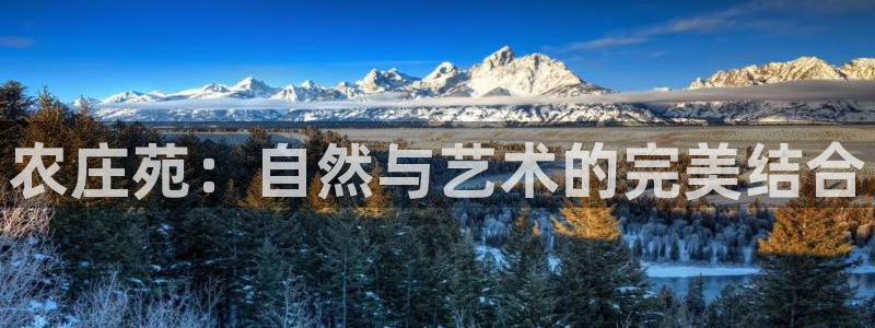 天辰娱乐总管年薪