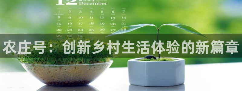 天辰娱乐 . 鱼刺