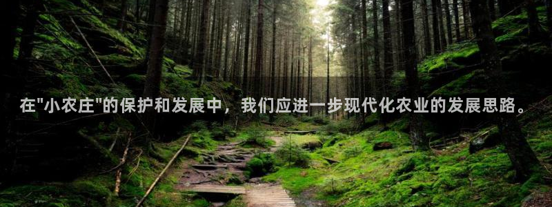 天辰娱乐平台地址在哪里