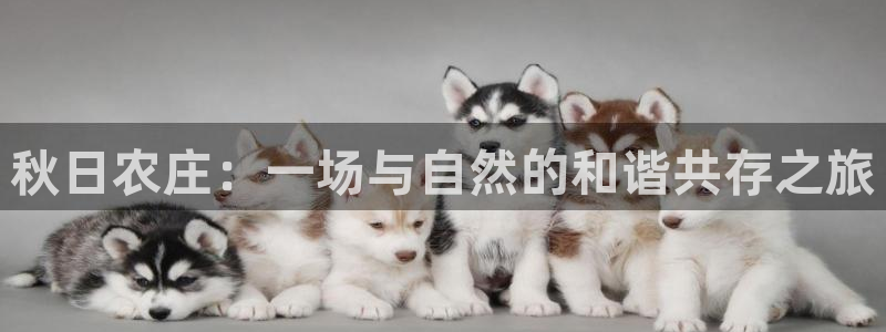 菲律宾天辰娱乐