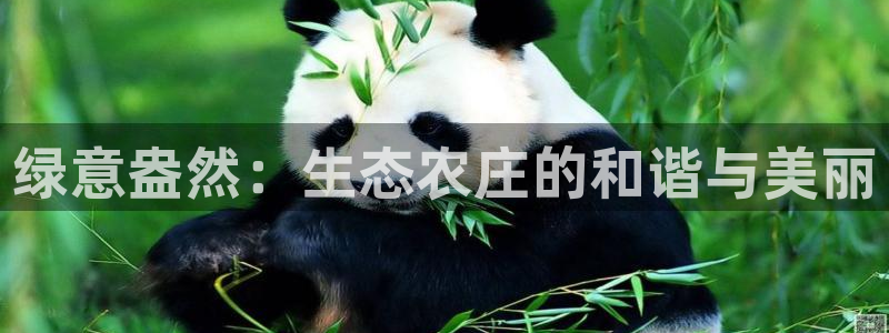 天辰娱乐登录网址