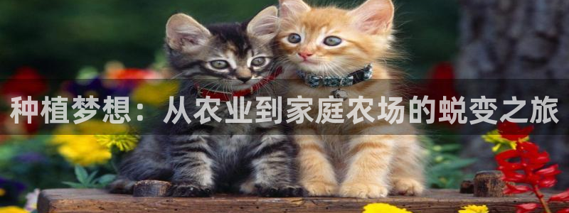 天富娱乐天辰娱乐