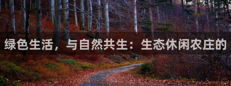 天辰娱乐官网平台入口