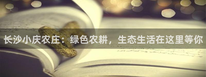 天辰娱乐白屏