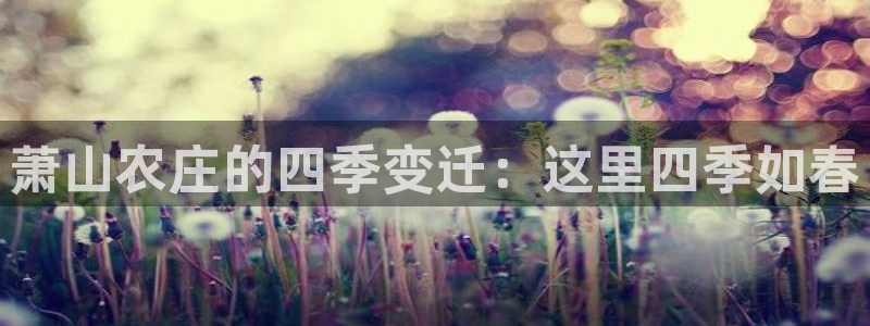 天辰天富娱乐