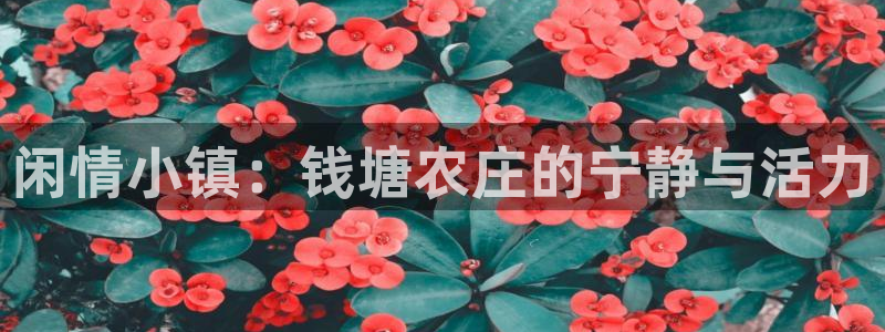 天辰娱乐电话