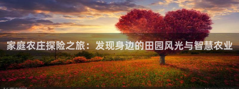 天辰娱乐视频