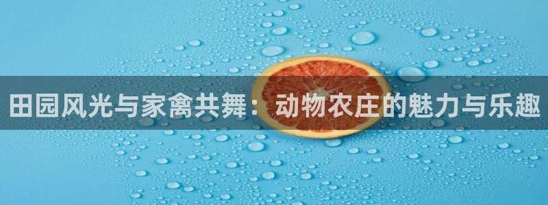 天辰娱乐网