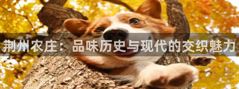 天辰娱乐小姐