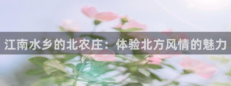 天辰娱乐内部