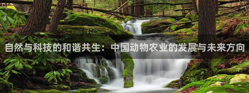 天辰娱乐957807