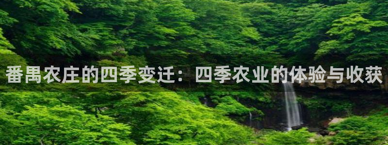 天辰娱乐小姐