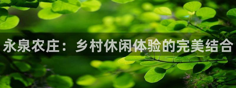 天辰娱乐指定