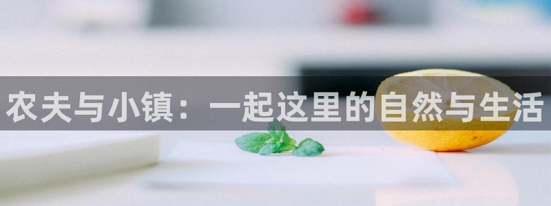天辰娱乐 首选