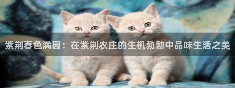 天辰娱乐娱乐平台