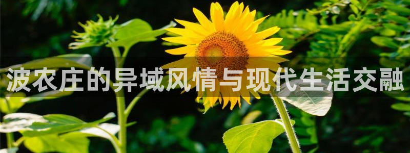 天辰娱乐tff