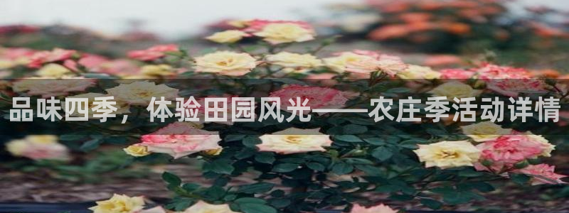 天辰娱乐连接