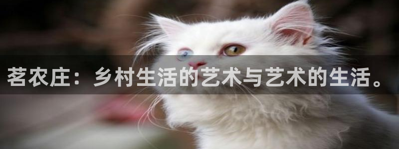 天辰娱乐 天辰平台